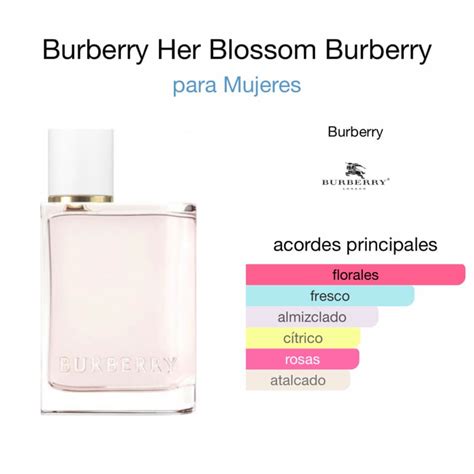 perfume burberry her notas